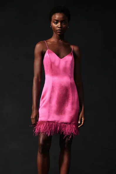 Wardrobe Upgrade Magnolia Pink Roxanne Feather Dress